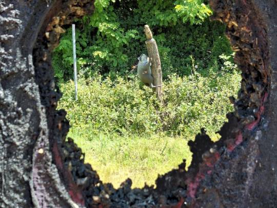 2-Tage-Pfingsturnier der Black Eagles in Schweinheim